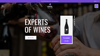Food & Drinks website templates - Wine Store