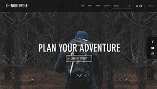 Accessories website templates - Backpack Store