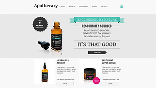 Beauty & Wellness website templates - Wellness Store